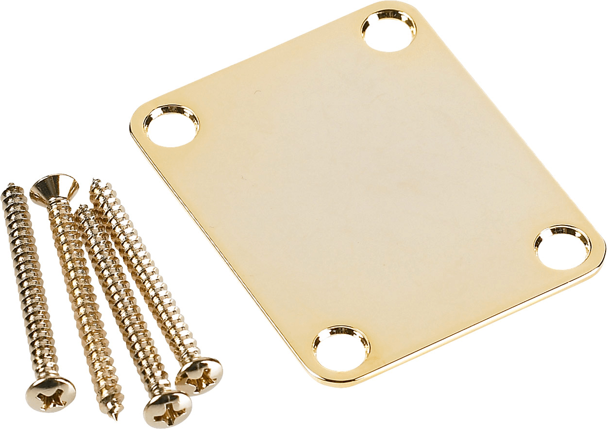 4-Bolt Vintage-Style Neck Plate (No Logo)